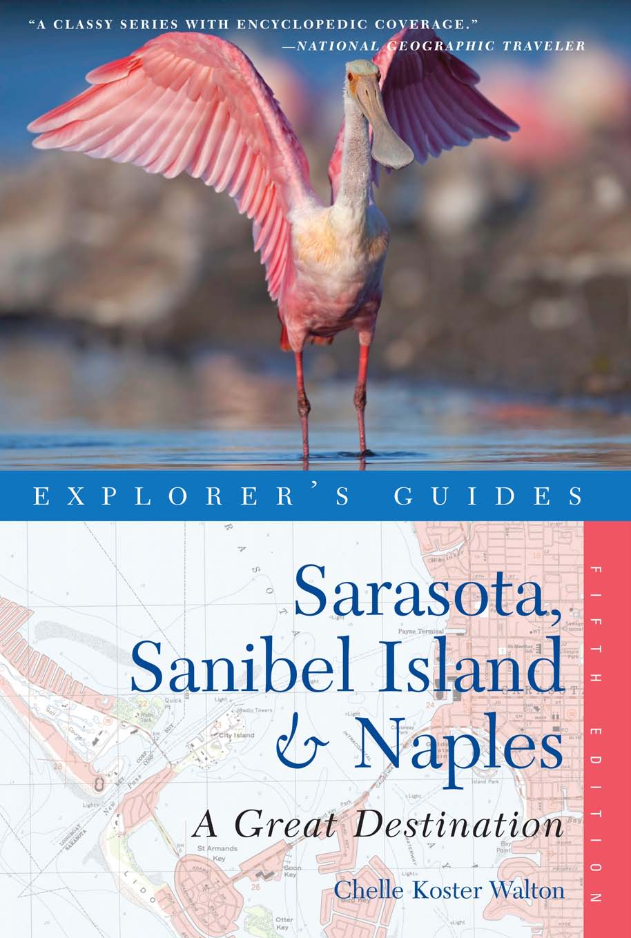 cover10.jpg